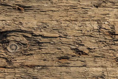 Çivi arkaplanı ya da deseni olan çürümüş kahverengi ahşap çit.