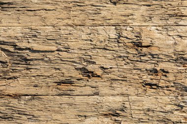 Çivi arkaplanı ya da deseni olan çürümüş kahverengi ahşap çit.