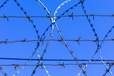 Mavi gökyüzünün arka planındaki dikenli tel silueti.