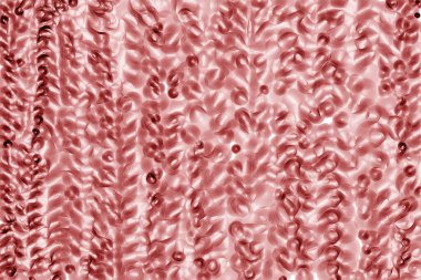 Çemberlerin, oval ve elipslerin soyut arka planı veya dokusu. El yapımı resim ya da kırmızı renkli resimler 