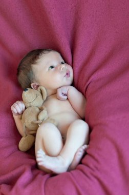 Peluş fare ile kırmızı battaniye bebek çocuk portresi