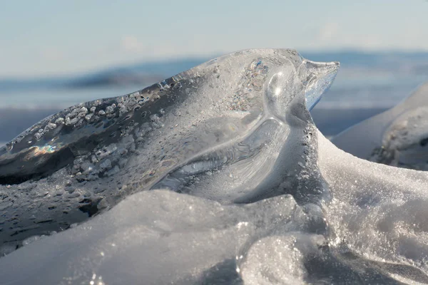 piece of ice like a bird or dolphin from surface of lake Baikal, macrophotography