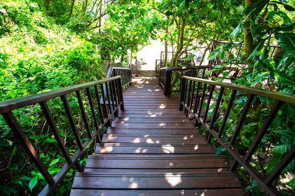 Merdivenlerden aşağı sahile yürüyüşe