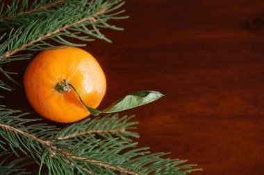 Mandarin Noel ağacı dalları arasında