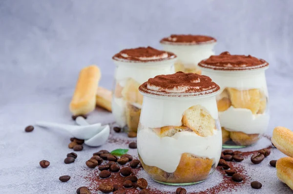 Gourmet Italian tiramisu dessert in a glass sprinkled with cocoa and decorated frozen berries. Horizontal orientation. Copy space — Stock Photo, Image