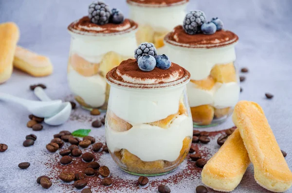 Gourmet Italian tiramisu dessert in a glass sprinkled with cocoa and decorated frozen berries. Horizontal orientation — 스톡 사진