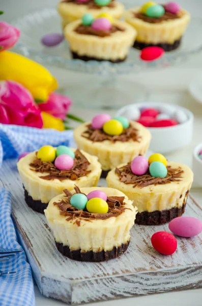 Çikolata ve şekerli yumurtalı Easter Mini Brownie Cheesecake Bird 's Nest. Paskalya tatlısı. Çocuklar için komik yemek fikri. Dikey oryantasyon. Seçici odak.