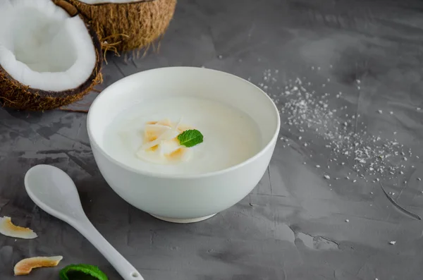 Iogurte Coco Caseiro Uma Tigela Com Batatas Fritas Coco Crocantes — Fotografia de Stock