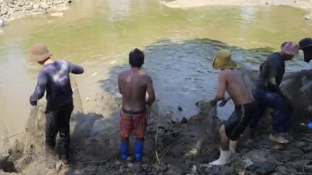 Pêcheur tirant le filet et ramasser le poisson de la rivière — Video