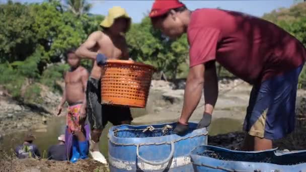Fischer gießt frisch gefangenen Fisch aus Korb Stockvideo
