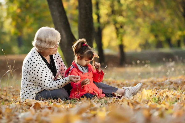 Бабушка Внучка Играют Парке Концепция Поколения — стоковое фото