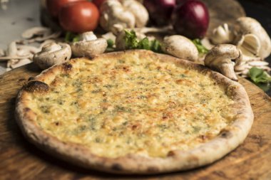 Eritilmiş peynir, İtalyan otlar ve domates sos ve taze fesleğen taze pişmiş pizza. Seçici odak