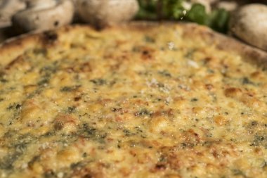 Eritilmiş peynir, İtalyan otlar ve domates sos ve taze fesleğen taze pişmiş pizza. Seçici odak