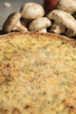 Eritilmiş peynir, İtalyan otlar ve domates sos ve taze fesleğen taze pişmiş pizza. Seçici odak