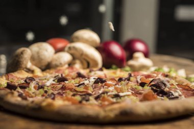 Eritilmiş peynir, İtalyan otlar ve domates sos ve taze fesleğen taze pişmiş pizza. Seçici odak