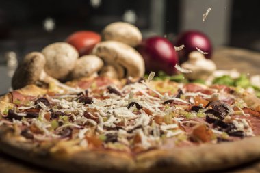 Eritilmiş peynir, İtalyan otlar ve domates sos ve taze fesleğen taze pişmiş pizza. Seçici odak