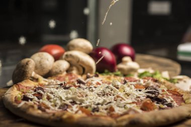 Eritilmiş peynir, İtalyan otlar ve domates sos ve taze fesleğen taze pişmiş pizza. Seçici odak