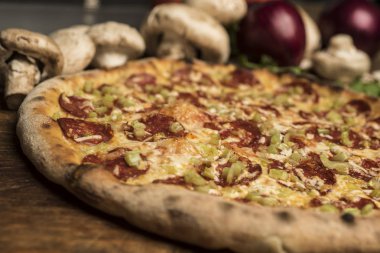 Eritilmiş peynir, İtalyan otlar ve domates sos ve taze fesleğen taze pişmiş pizza. Seçici odak