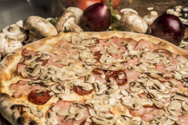 Eritilmiş peynir, İtalyan otlar ve domates sos ve taze fesleğen taze pişmiş pizza. Seçici odak