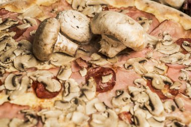 Eritilmiş peynir, İtalyan otlar ve domates sos ve taze fesleğen taze pişmiş pizza. Seçici odak