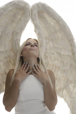 güzel genç model stüdyoda oturan büyük melek kanatlı. Beyaz arka plan