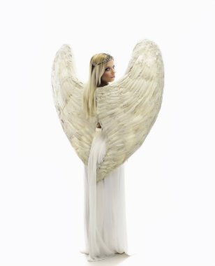 güzel genç model stüdyoda oturan büyük melek kanatlı. Beyaz arka plan