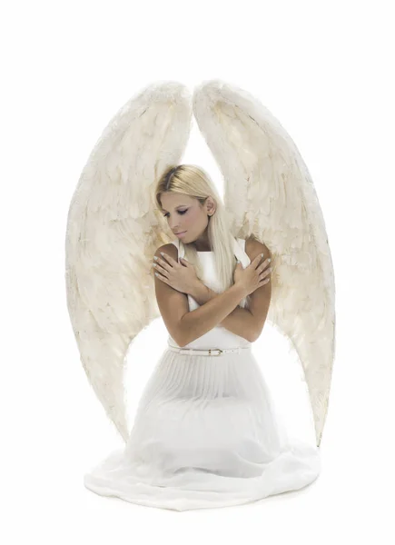 スタジオで座っている大きな天使の翼を持つ美しい若いモデル 白背景 — ストック写真