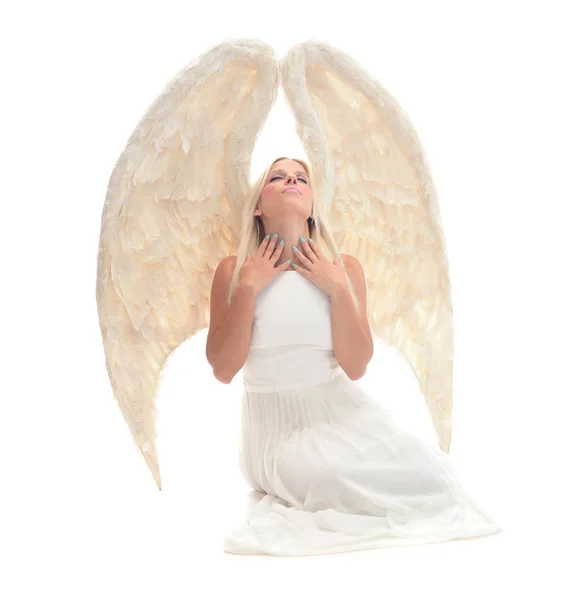 Beautiful Young Model Big Angel Wings Sitting Studio White Background — Stock Photo, Image