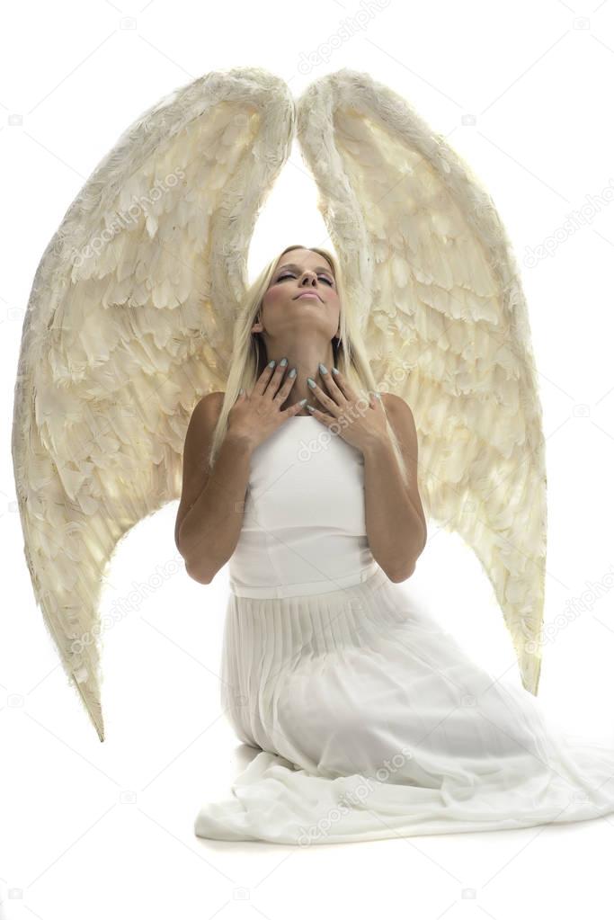 beautiful young model with big angel wings sitting in the studio. white background