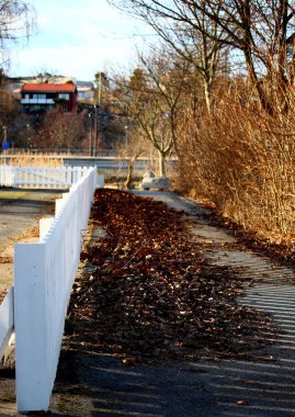 Arka planda ağaçlar olan sonbahar parkı