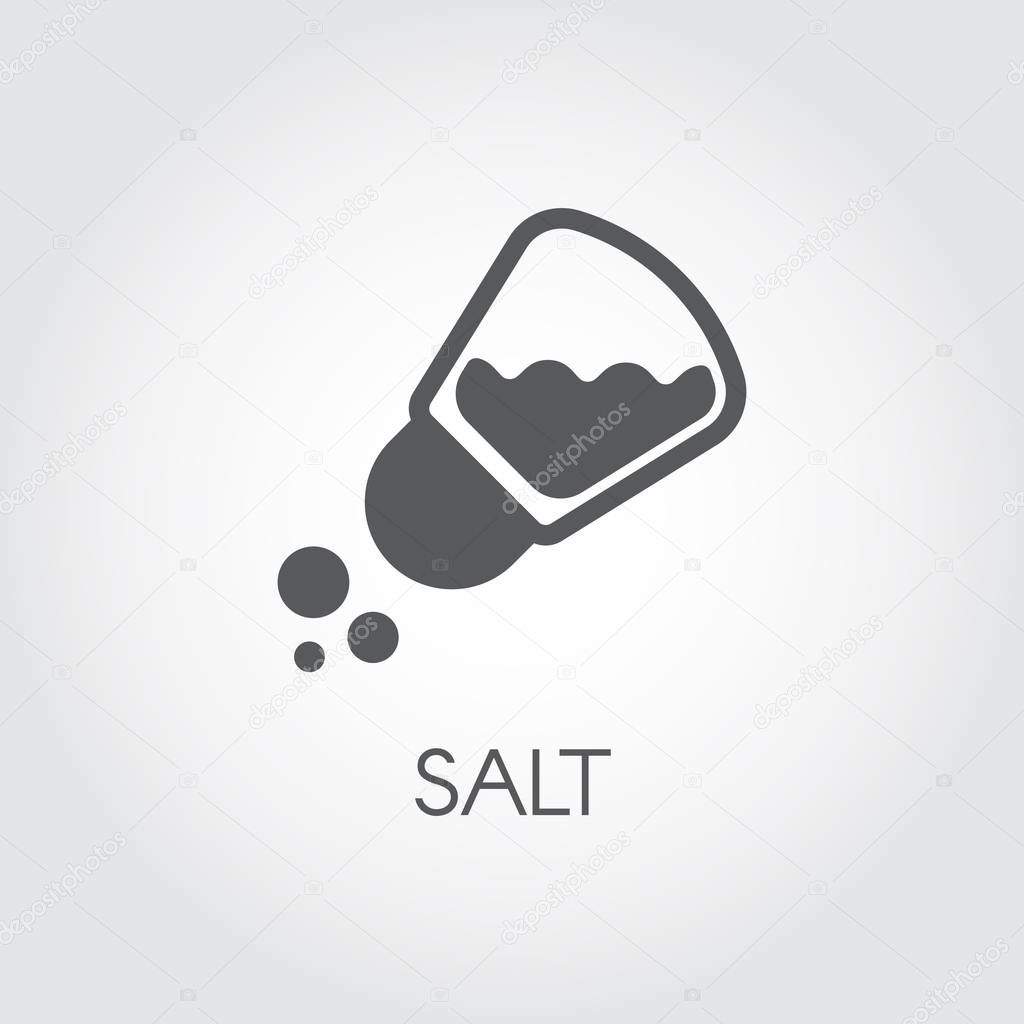 Salt shaker seasoning icon in flat design. Pictogram for food cooking theme. Simple emblem of spice. Vector illustration