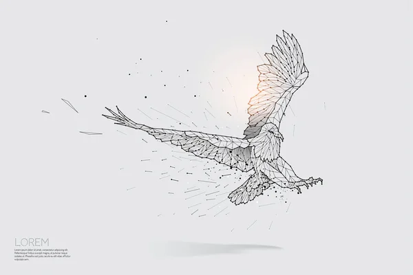 A linha de partículas e ponto de águia voando . — Vetor de Stock