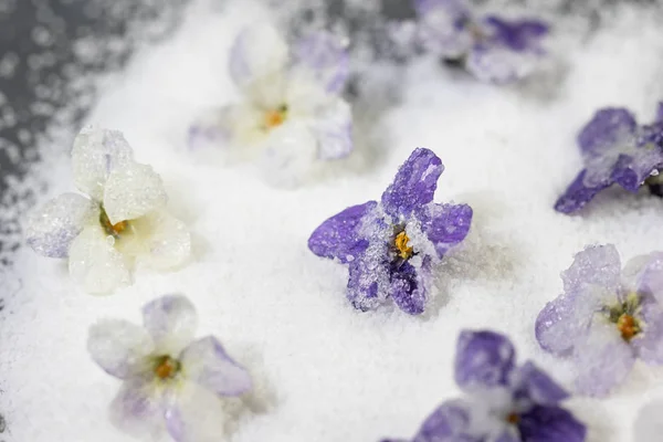 Bonbons Sucrés Fleurs Blanches Violettes Confites Sur Sucre Images De Stock Libres De Droits