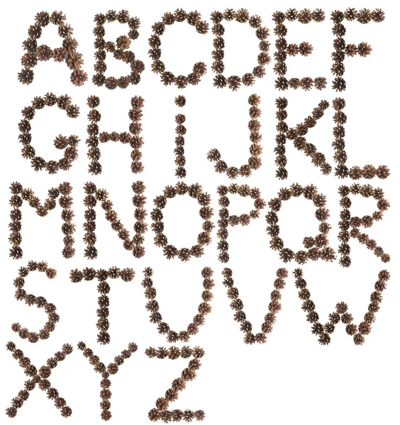Πλήρες Αγγλικό αλφάβητο από κώνο πεύκου — Φωτογραφία Αρχείου