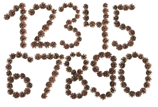 Todo el número hecho de cono de pino — Foto de Stock