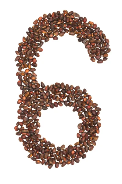 Six number made of cedar  nuts — Stock Photo, Image