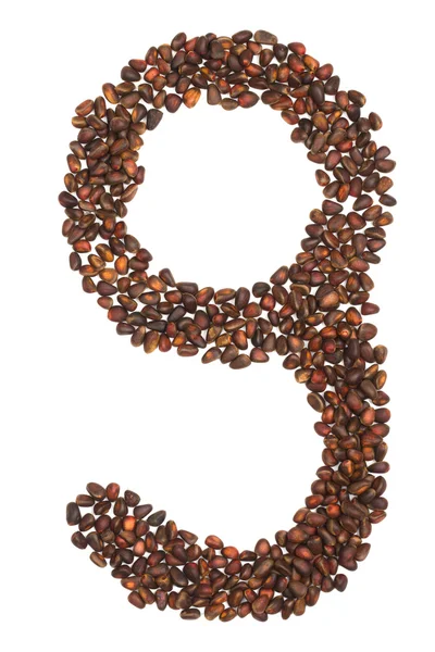 Nine number made of cedar  nuts — Stock Photo, Image