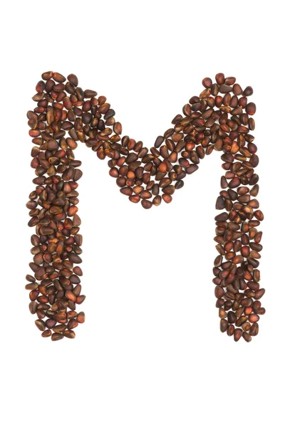 M letter made of cedar  nuts Stock Picture