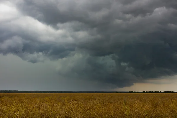 Wiese und Sturm — Stockfoto