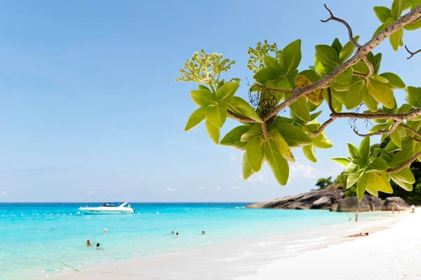 Hermosas islas Similan — Foto de Stock