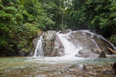 Orman tropik şelale