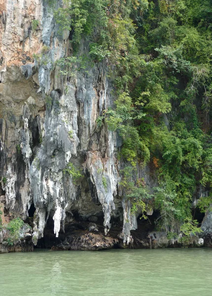 Kireçtaşı kayalıklarla orman kaplı