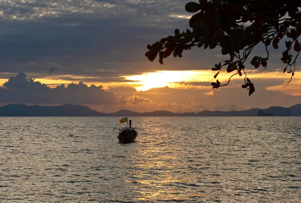 Tropische zonsondergang silhouetten — Stockfoto