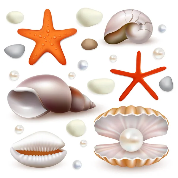 Conjunto de ícone de concha e estrela-do-mar realista vetorial — Vetor de Stock