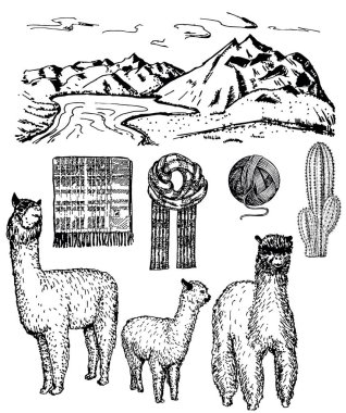 Vektör mürekkep elle çizilmiş alpaka Icon set