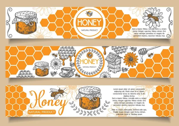 Bee natural honey vector hand drawn horizontal banner set Vector Graphics