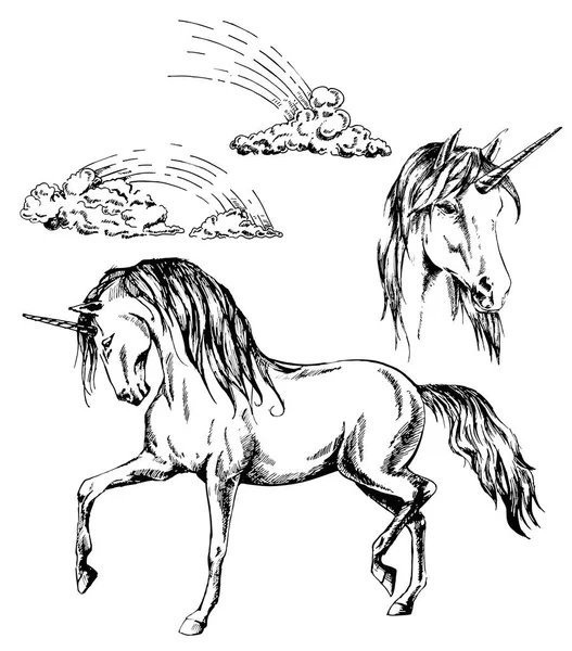 Einhorn, Einhörnerkopf und Regenbogenvektortinte handgezeichnete Illustration — Stockvektor