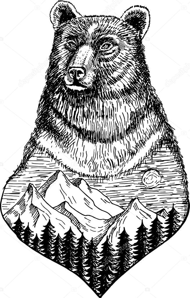 Stylized bears head with nature landscape vector ink hand drawn illustration