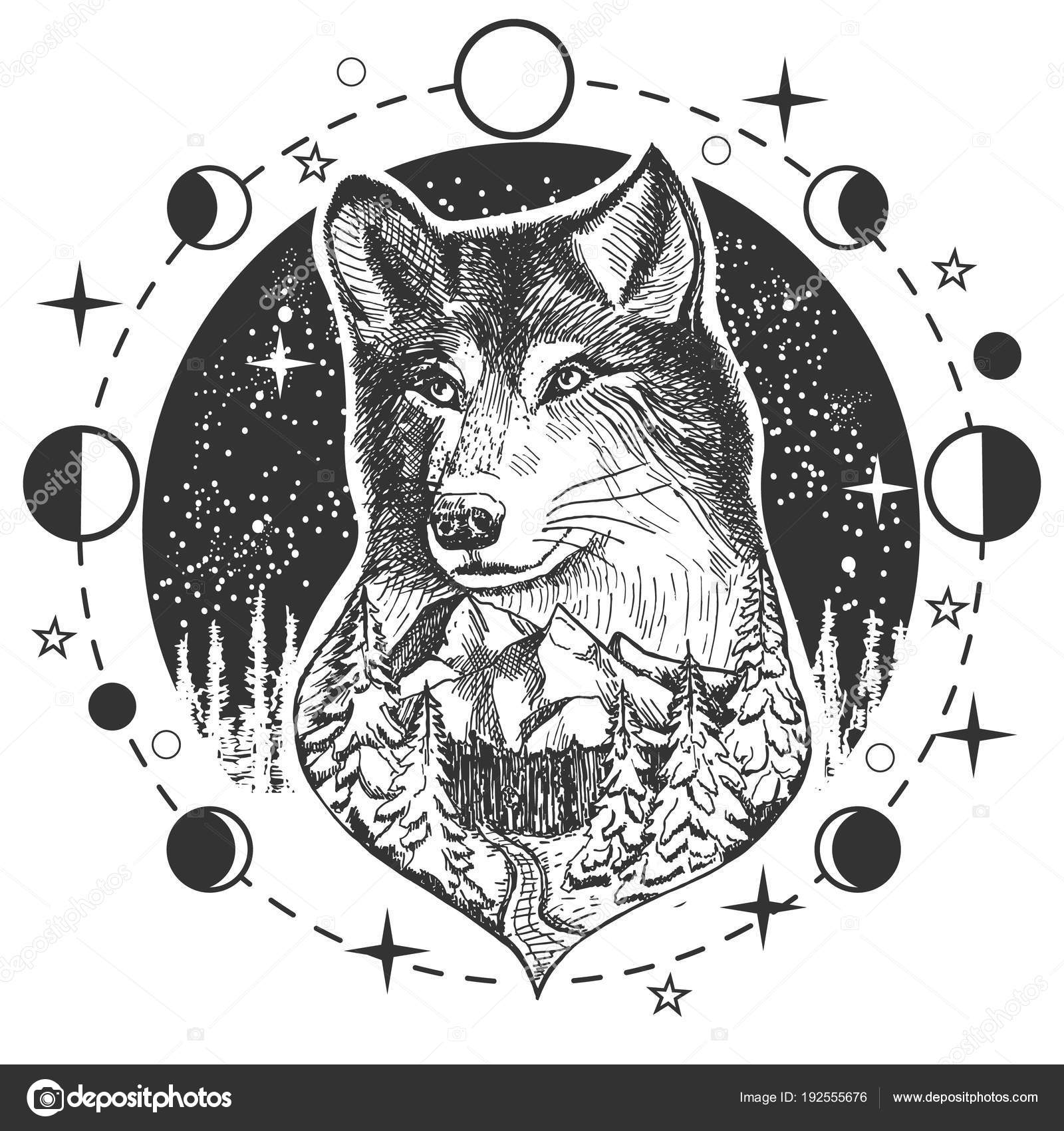Tatuagem de cabeça de lobo vetorial ou design de impressão de camiseta  Vetor de stock de ©SiberianArt 192555676, image size:1600x1700