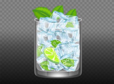 Mojito kokteyl vektör gerçekçi çizim